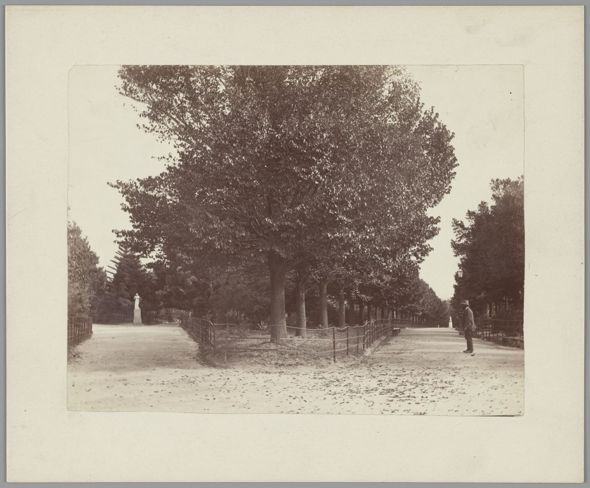 View down diverging pathways in the Fitzroy Gardens, Melbourne, East Melbourne (1865–95)