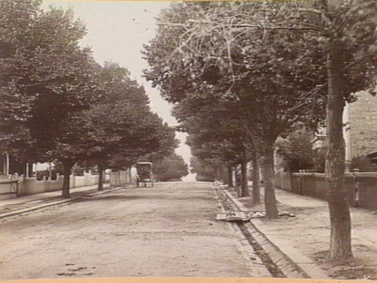 Catherine Street (Elm Grove), Richmond (1865–95)