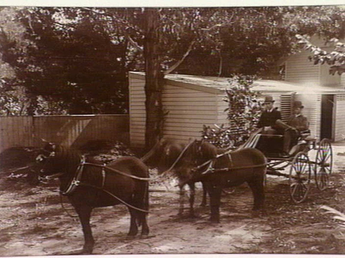 Herbert & Alfred Small, Bella Vista, Alma Rd, Caulfield. Vic (1900–20)