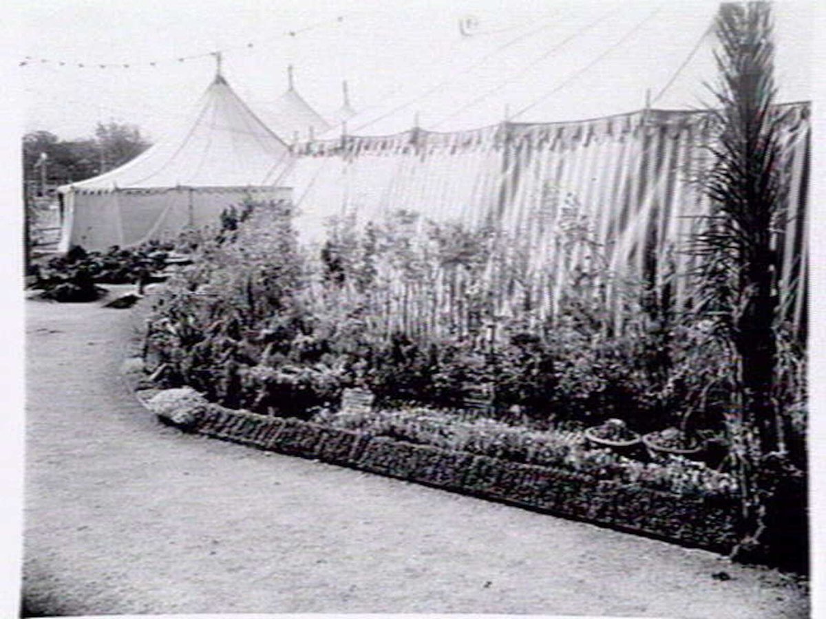 Border display by Bluff Road Nurseries, Moorabbin, for Garden Show, 1940