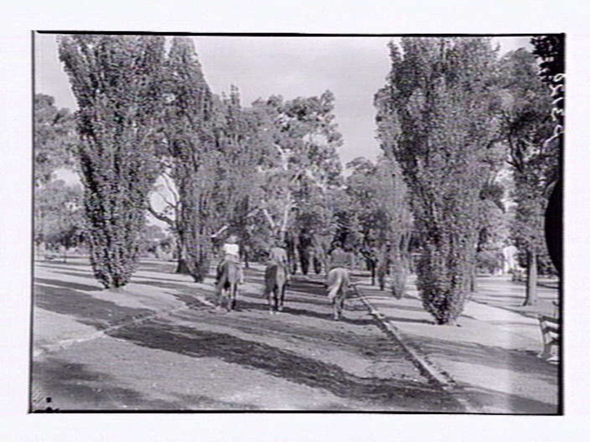 Riders on the Tan Melbourne (1948)