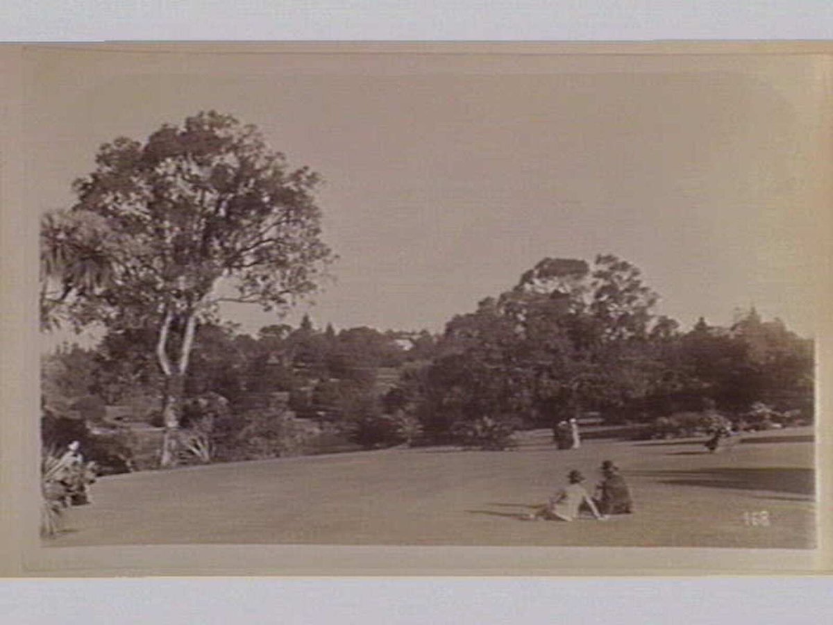 Botanical Gardens. [Melbourne], Melbourne City (1890)