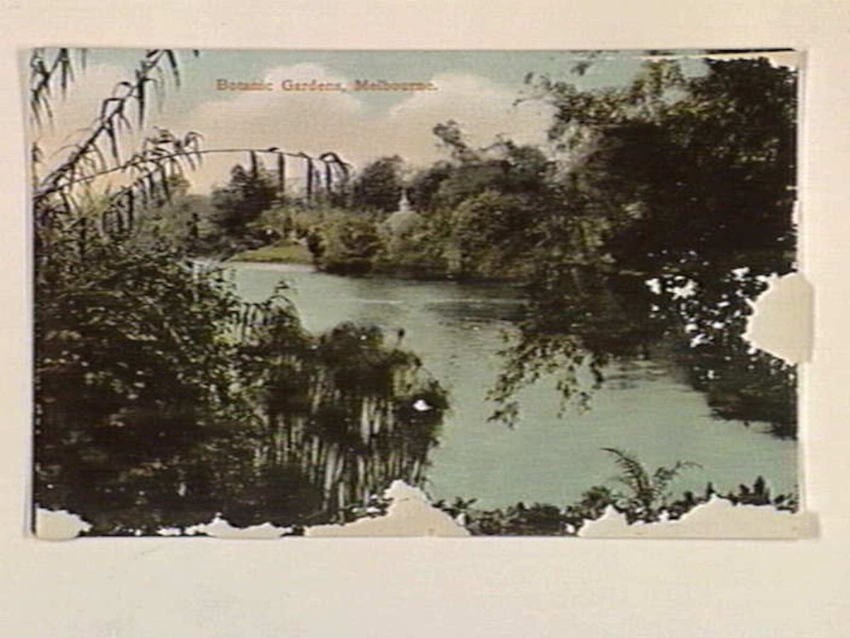 Botanical Gardens, Melbourne, Melbourne City (c. 1907)