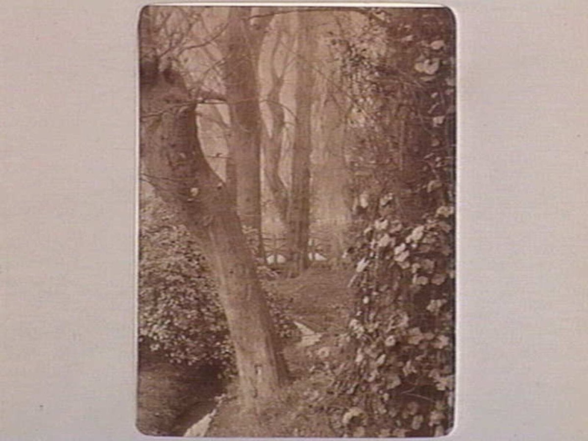 FITZROY GARDENS [Melb.], East Melbourne (1890–1910)
