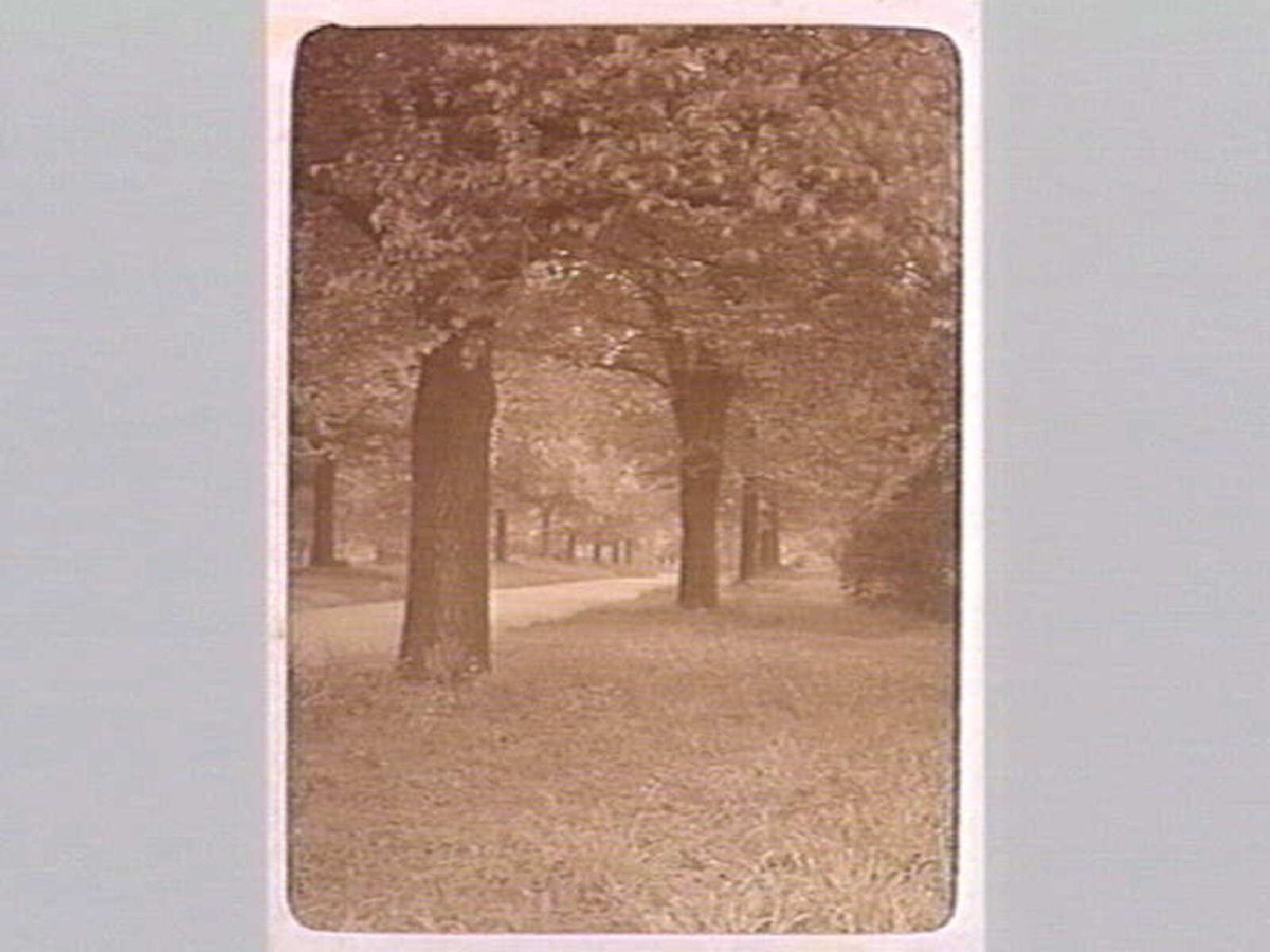 FITZROY GARDENS, East Melbourne (1890–1910)