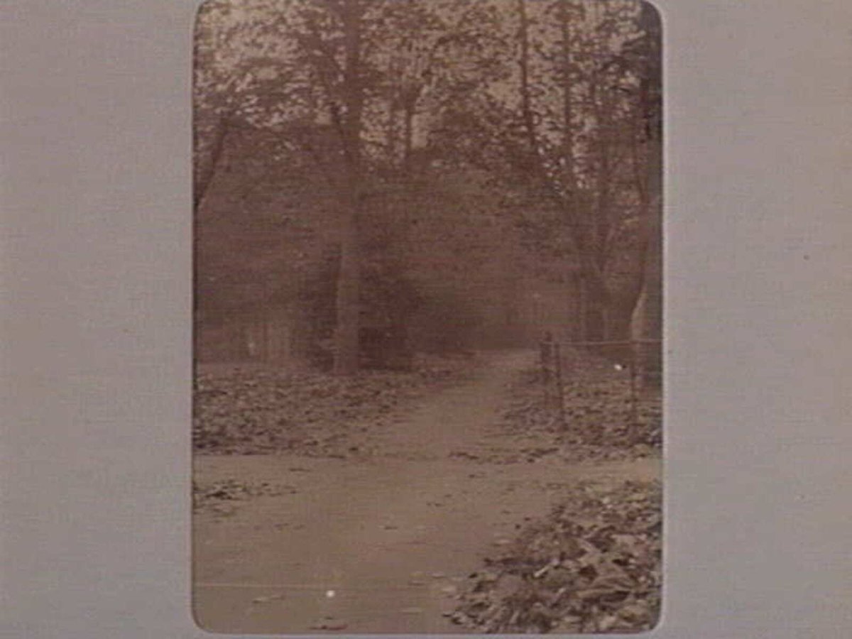 FITZROY GARDENS [Tree lined path in autumn.], East Melbourne (1890–1910)