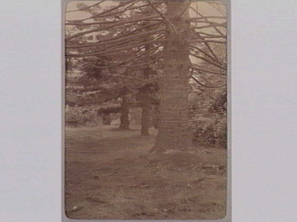 FITZROY GARDENS, East Melbourne (1890–1910)