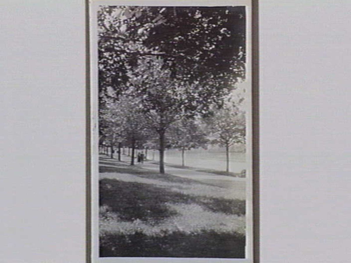Alexr Ave. [i.e. Alexandra Avenue Melbourne], Melbourne City (1919–23)