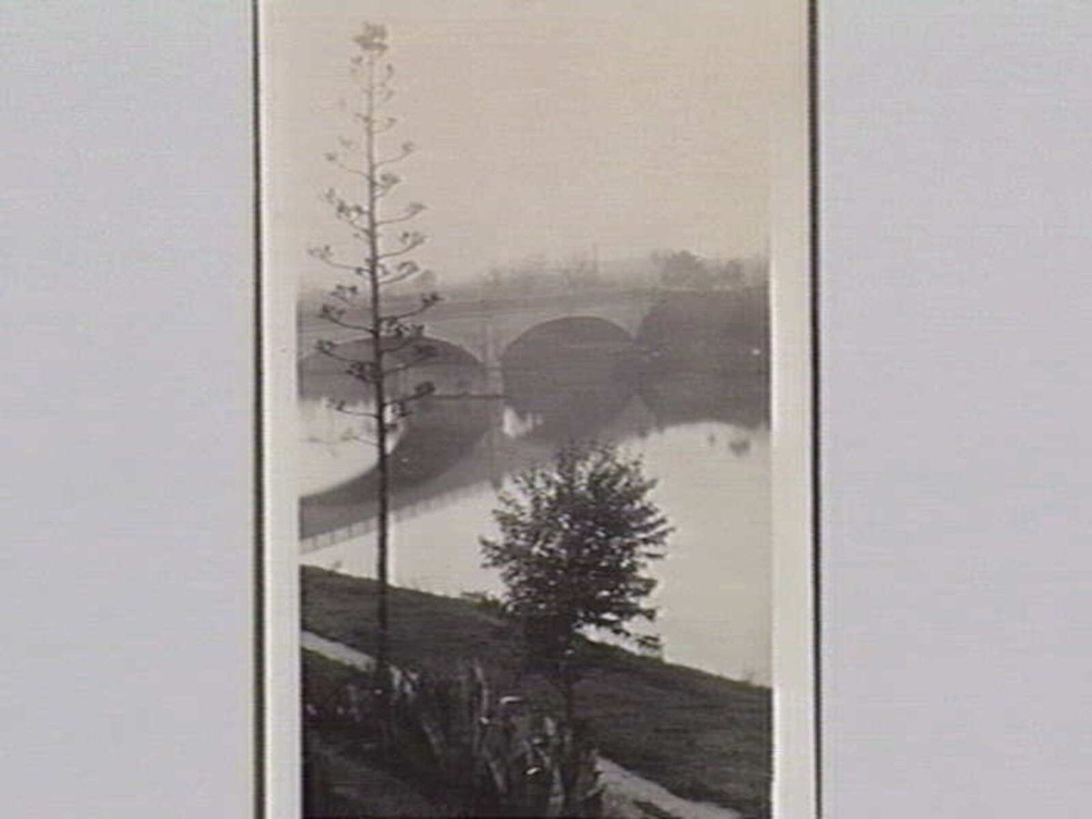 Anderson St. Bridge [Melbourne] (c. 1924)