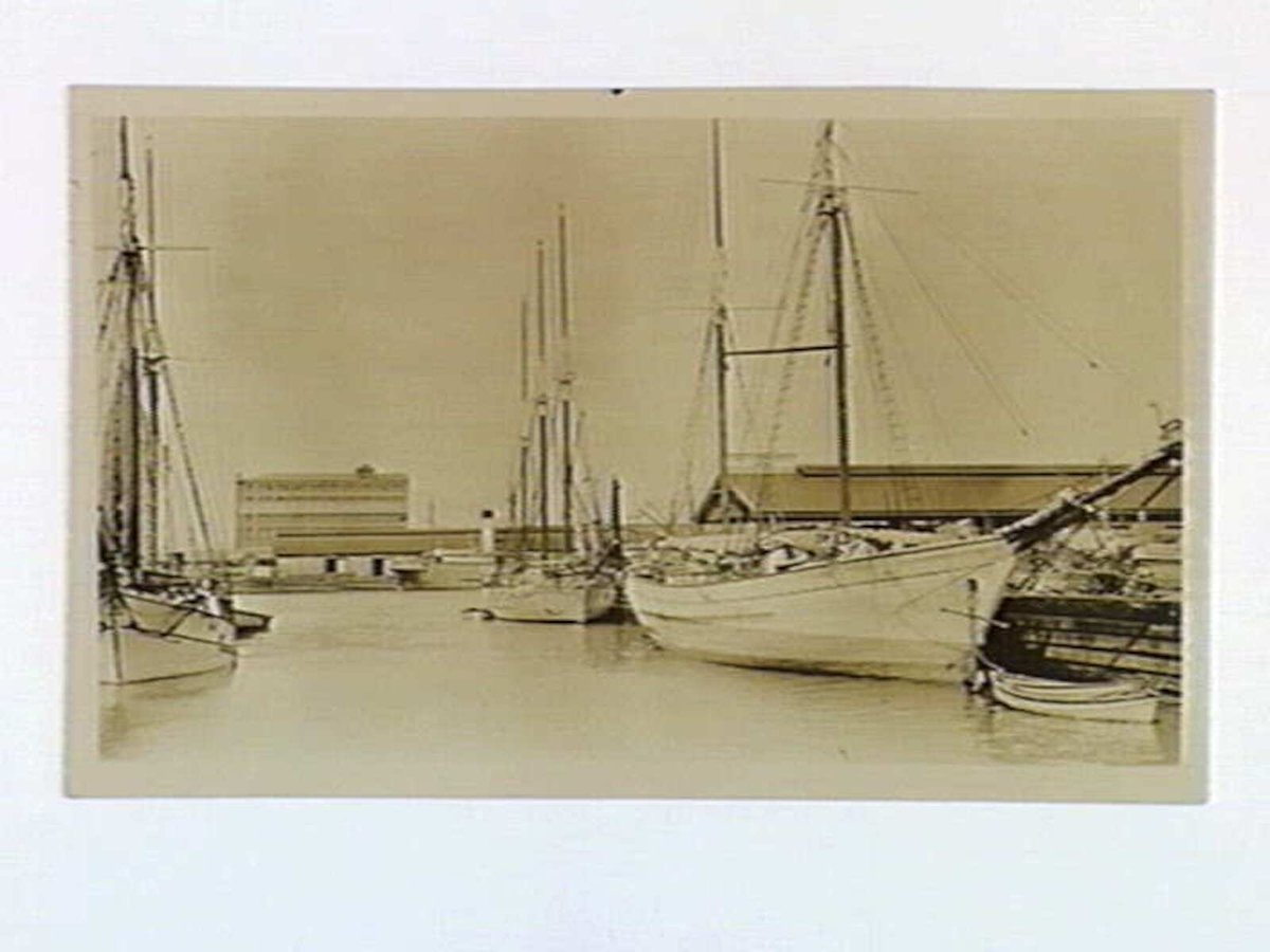 "Little Dock" at the foot of Spencer Street South, which is about to be filled in on account of the new Bridge construction, Melbourne City (c. 1929)