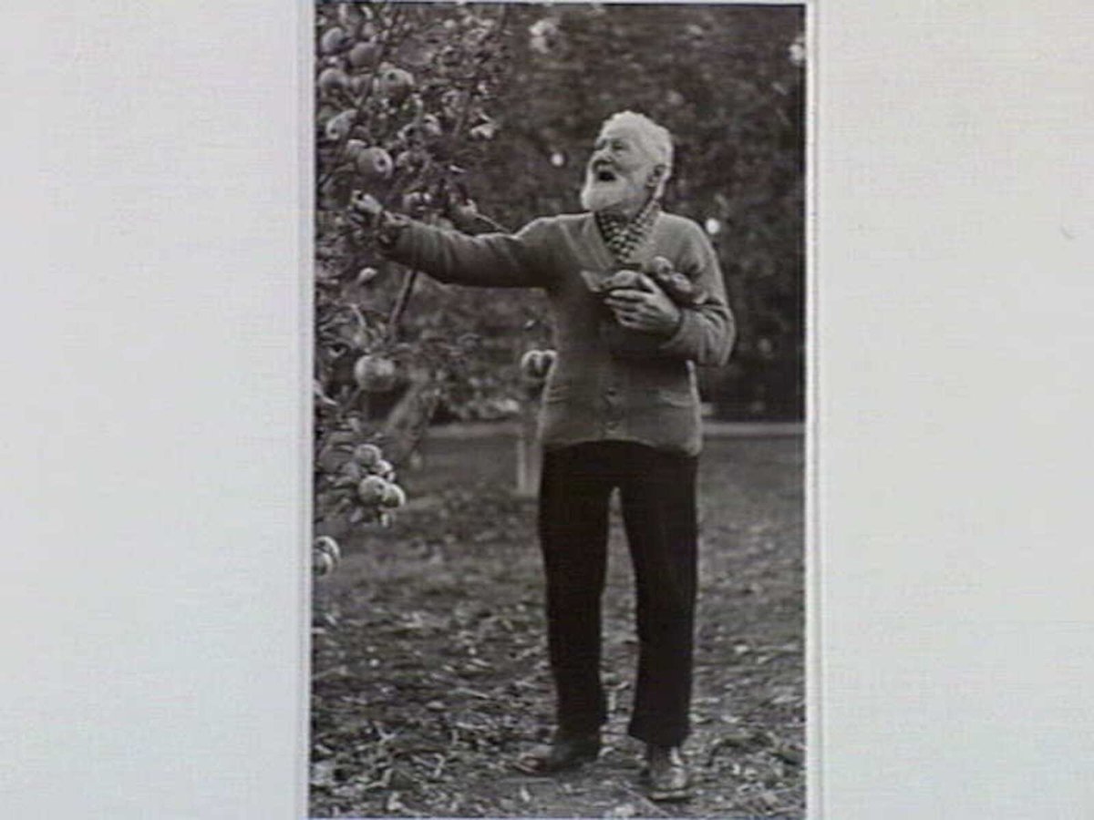 Mr. R. Wehnert, a veteran orchardist at Doncaster, Vic. aged 102 years on Sunday 23-4-39 (c. 1939)