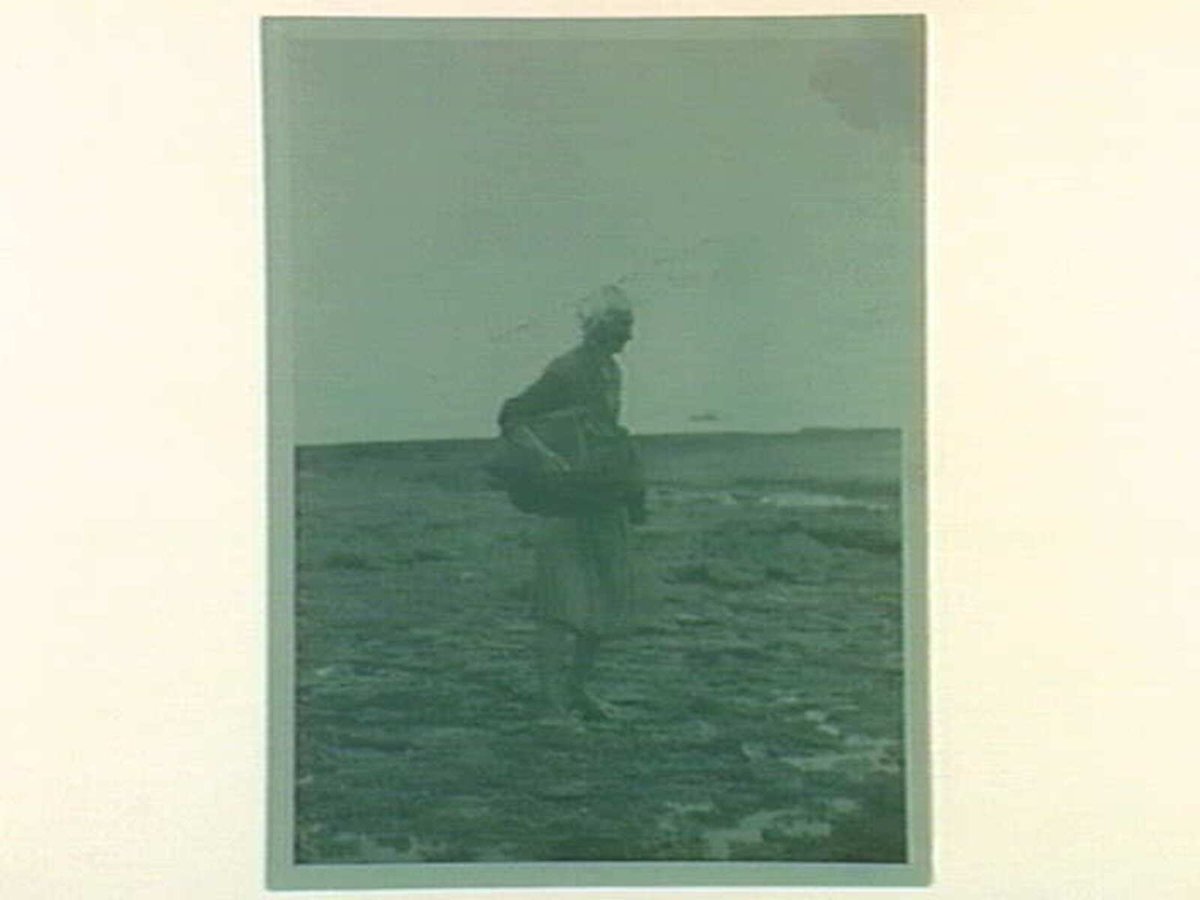 To recall our playtimes at Black Rock (1910–13)