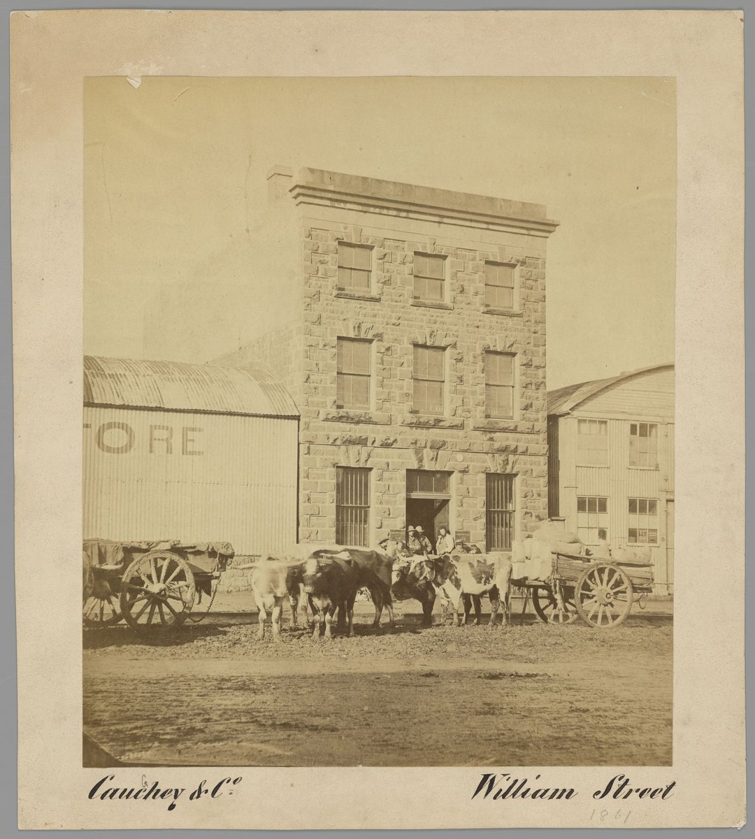 Cauchey [i.e., Caughey] & Co. William Street, Melbourne City (1861)
