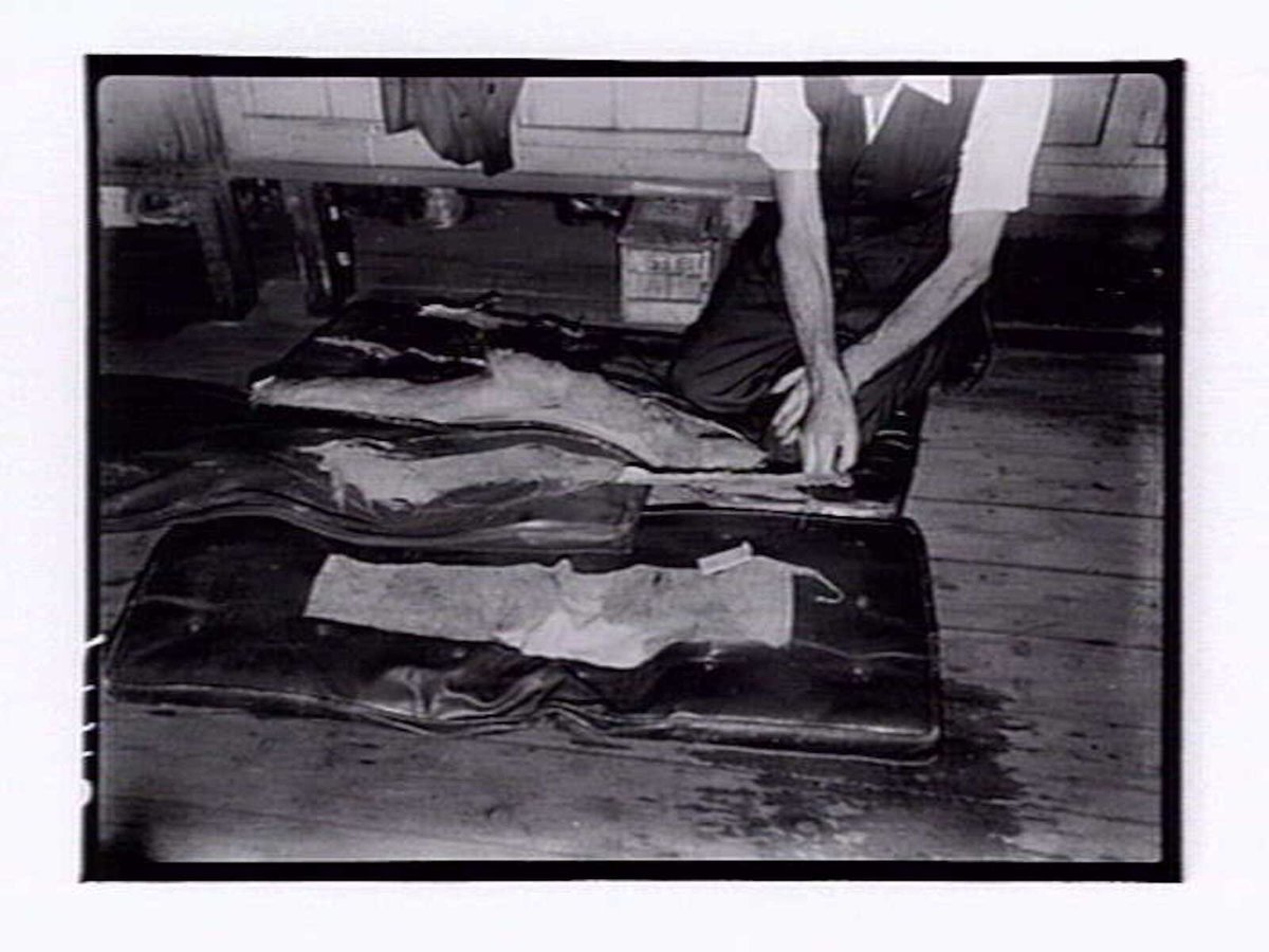 Ripped cushions, Shelter Shed, North Melbourne (1947)