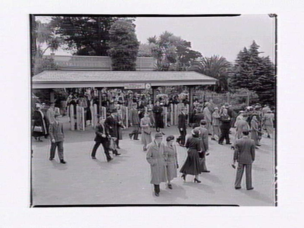 Crowd arriving at Flemington Racecourse, from railway station (1949)