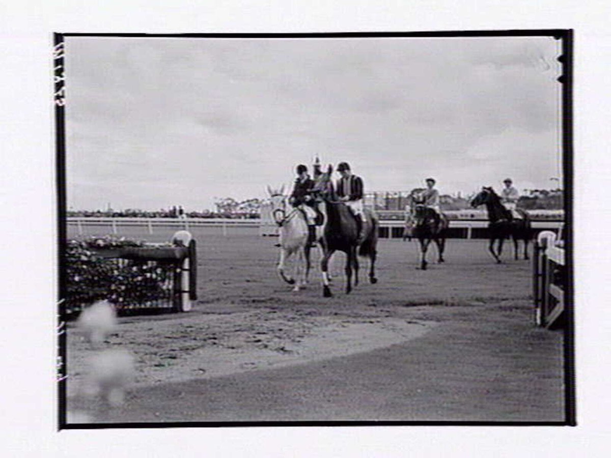 Racehorses and jockeys at Flemington Racecourse, Melbourne Cup Day (1949)