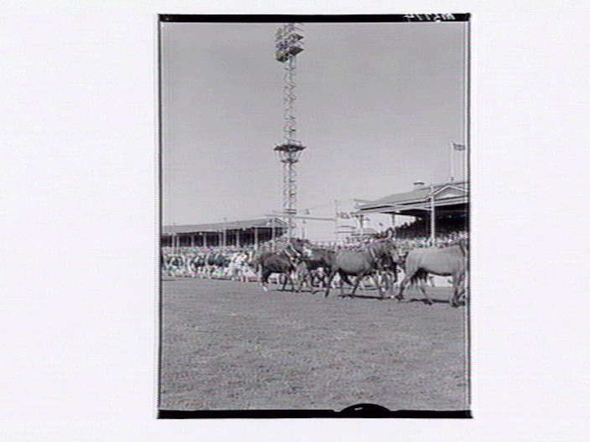 Grand Parade, Royal Melbourne Show (c. 1946)