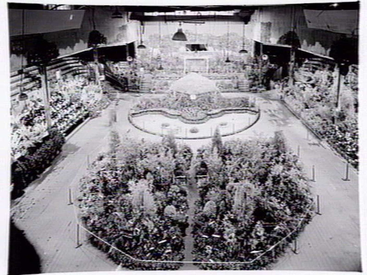 Interior display of garden nurseries at Silver Birch Nursery, Camberwell (1947)