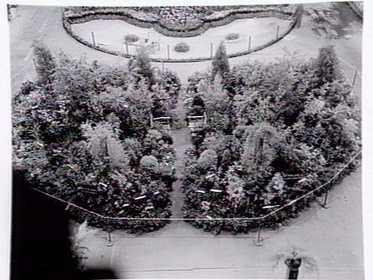Display by Hodgins Nurseries, Essendon, at garden show (1947)