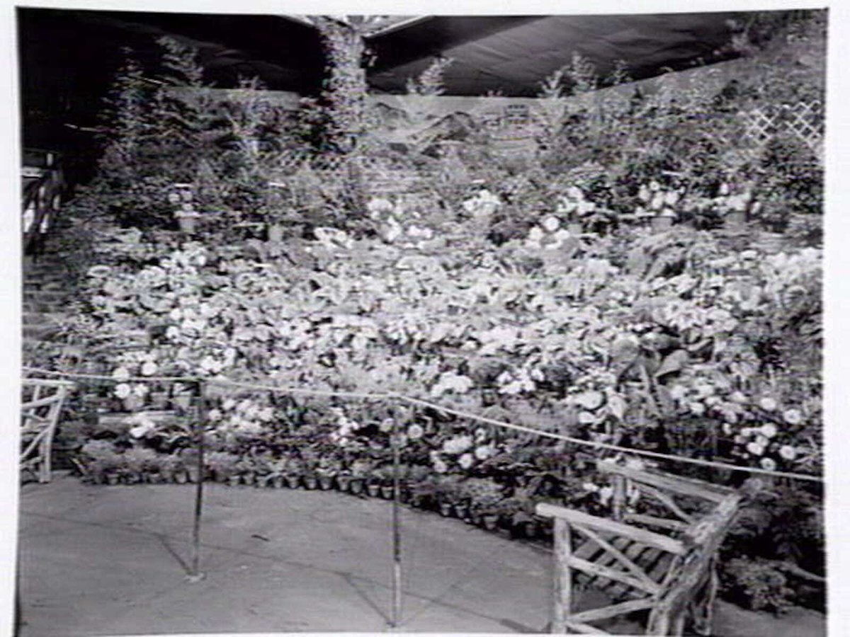 Display by Mayfield Nursery of Wilson St., Cheltenham, at garden show (1947)