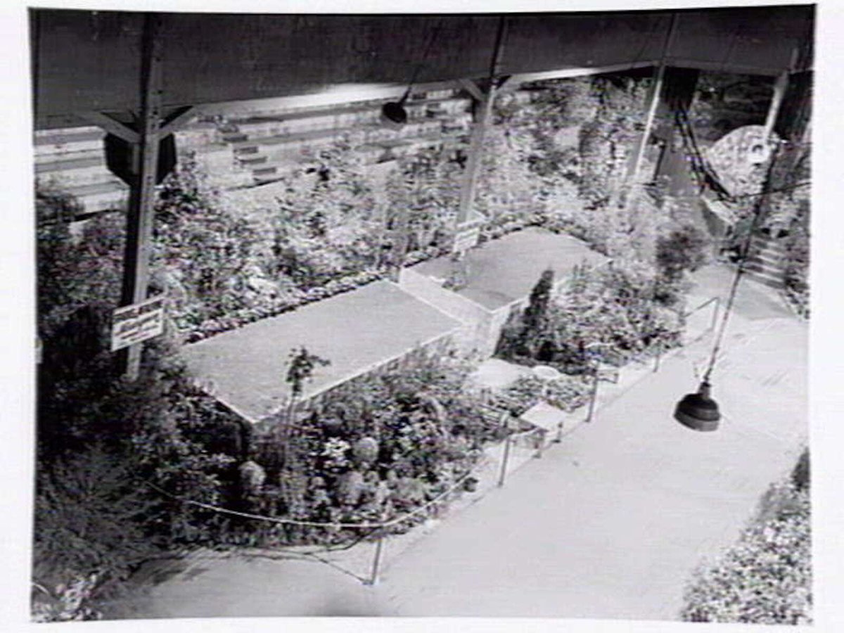 1949 Flower Show, showing display by Sparks & McAlpine Nurserymen of Shannon St., Box Hill