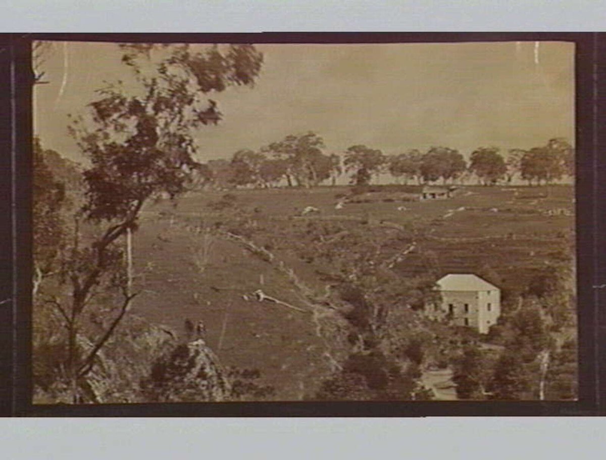 On the Plenty, near Bundora [i.e. Bundoora] (1880s)