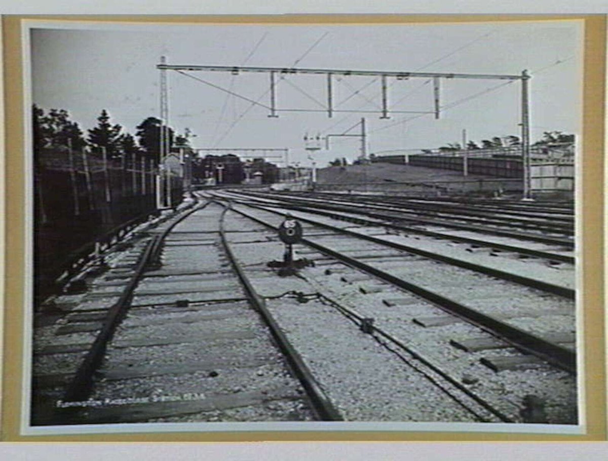 Flemington Racecourse Station (1916)