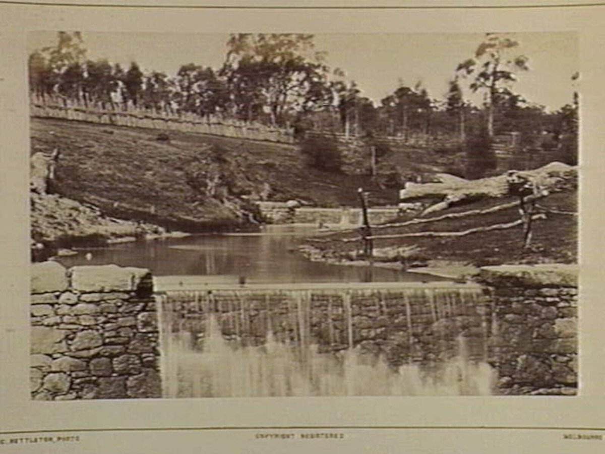 Drops. Near Expedition Pass, 73 Miles N.N.W. from Melbourne (1870–80)