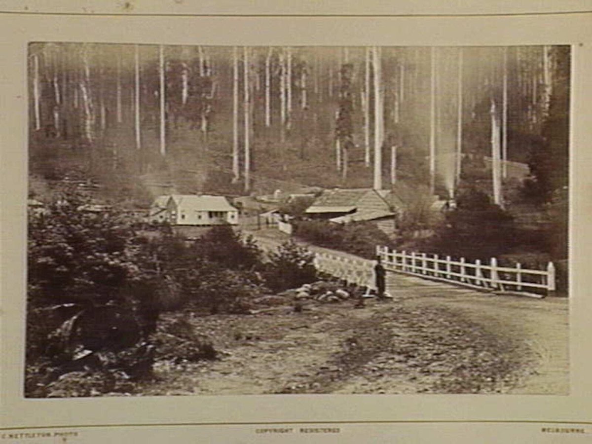 Fernshaw. Bridge over the Watts River. 46 Miles N.E. from Melbourne (1870–80)