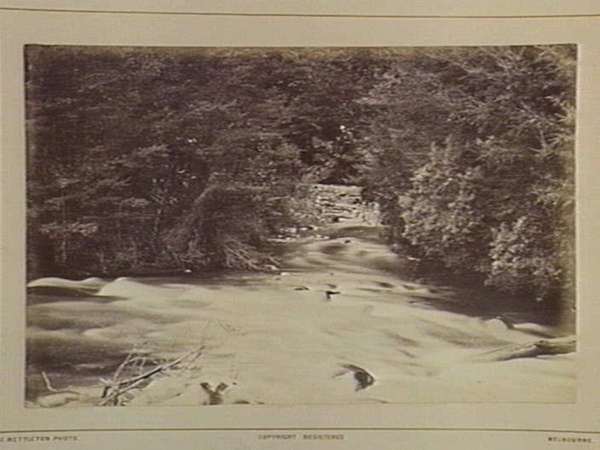 Fernshaw. Jefferson's Fall. 46 Miles N.E. from Melbourne (1870–80)