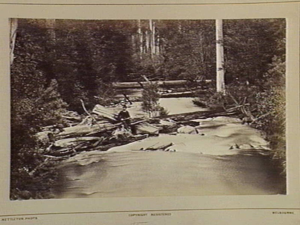 Fernshaw. Watts River from the Bridge 46 Miles N.E. from Melbourne (1870–80)