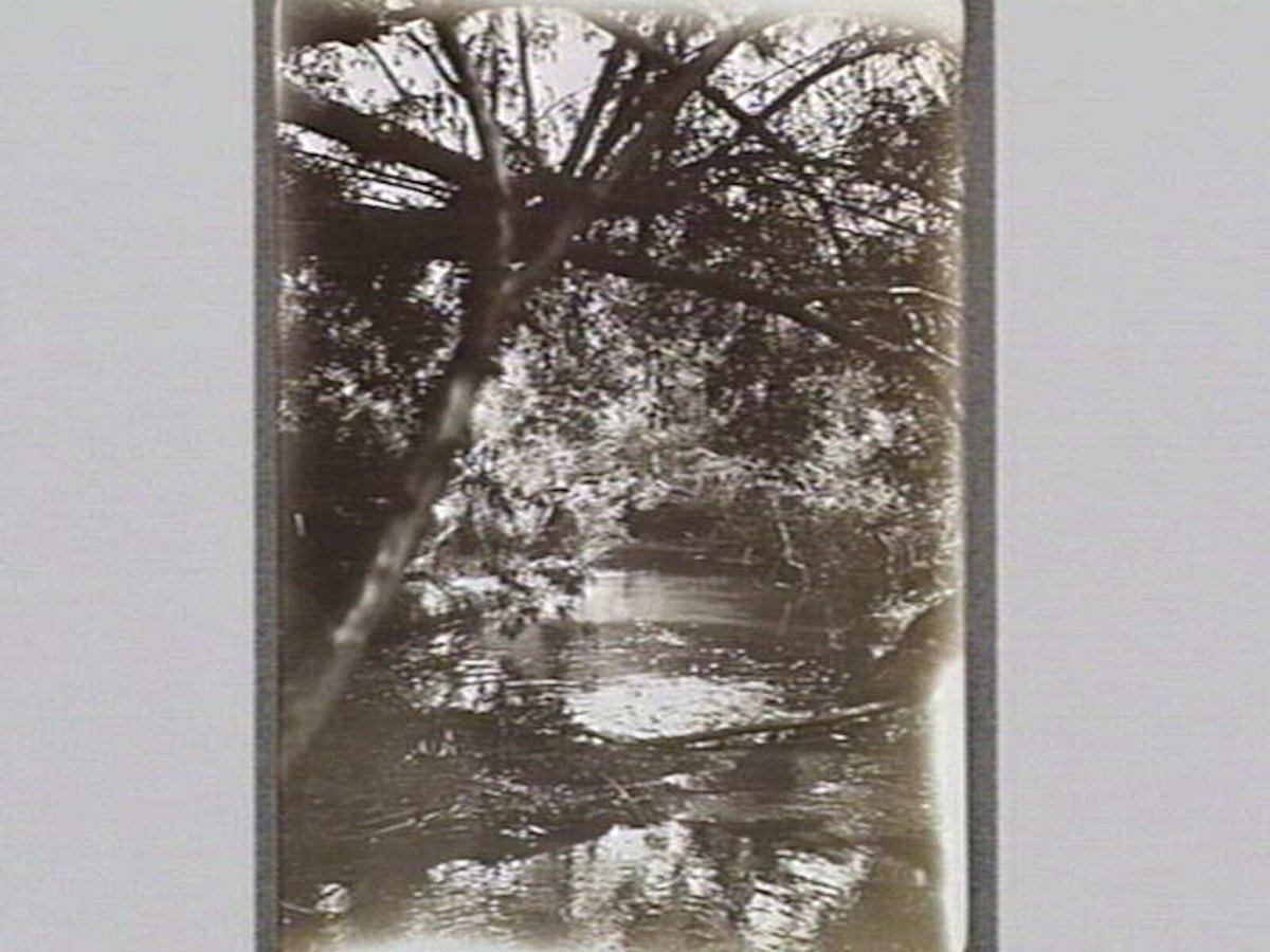 Plenty River, Greensborough (c. 1914)