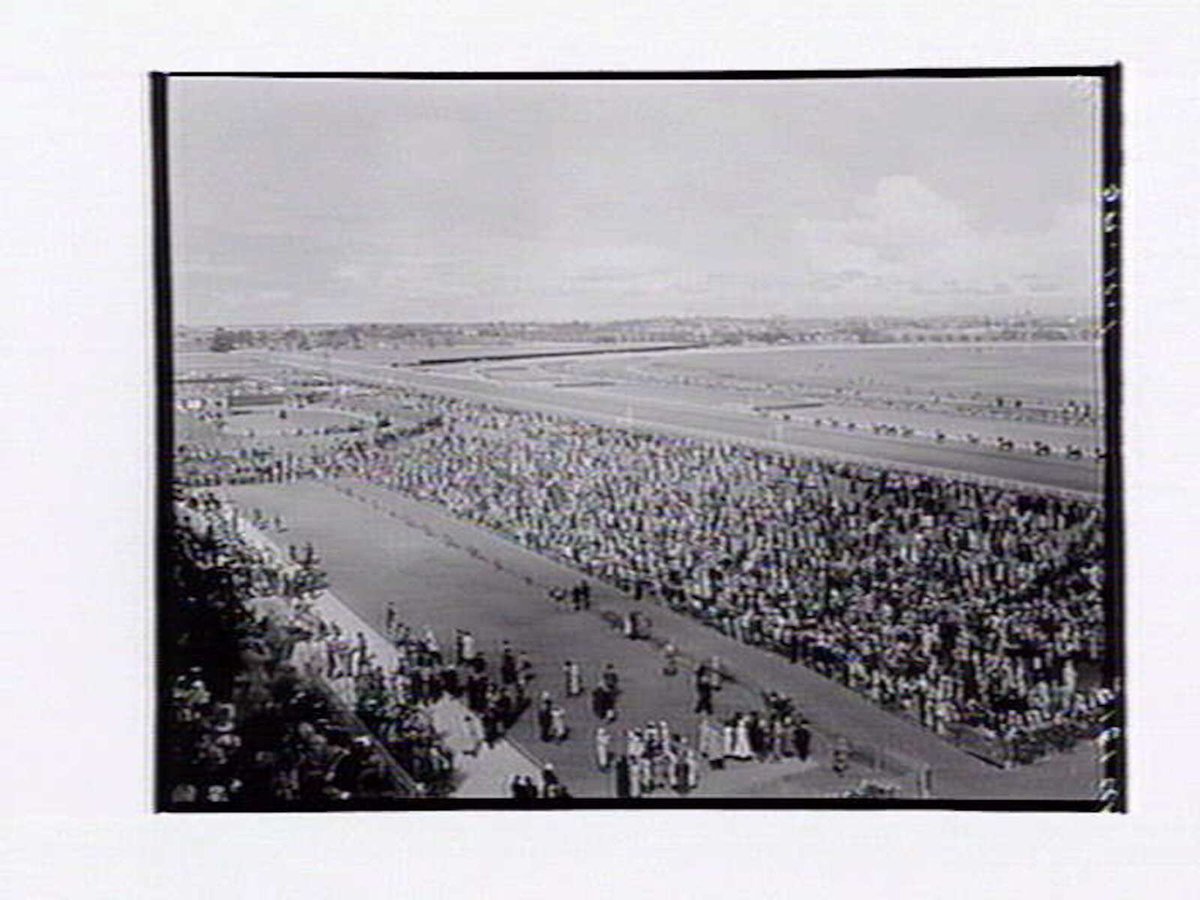 Bird's-eye view of Flemington Racecourse, showing mounting yard in foreground, Melbourne Cup Day (1949)