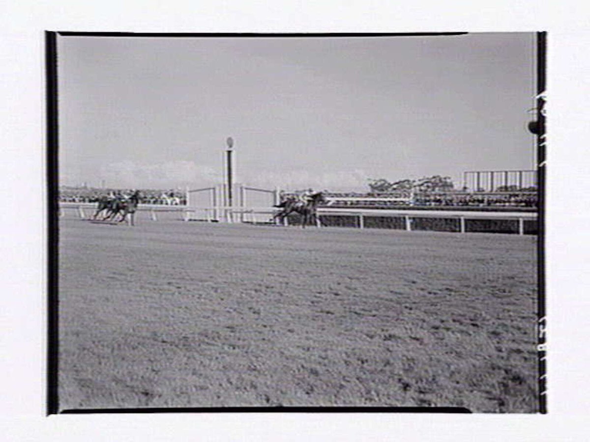 Horserace on Melbourne Cup Day at Flemington Racecourse (1949)
