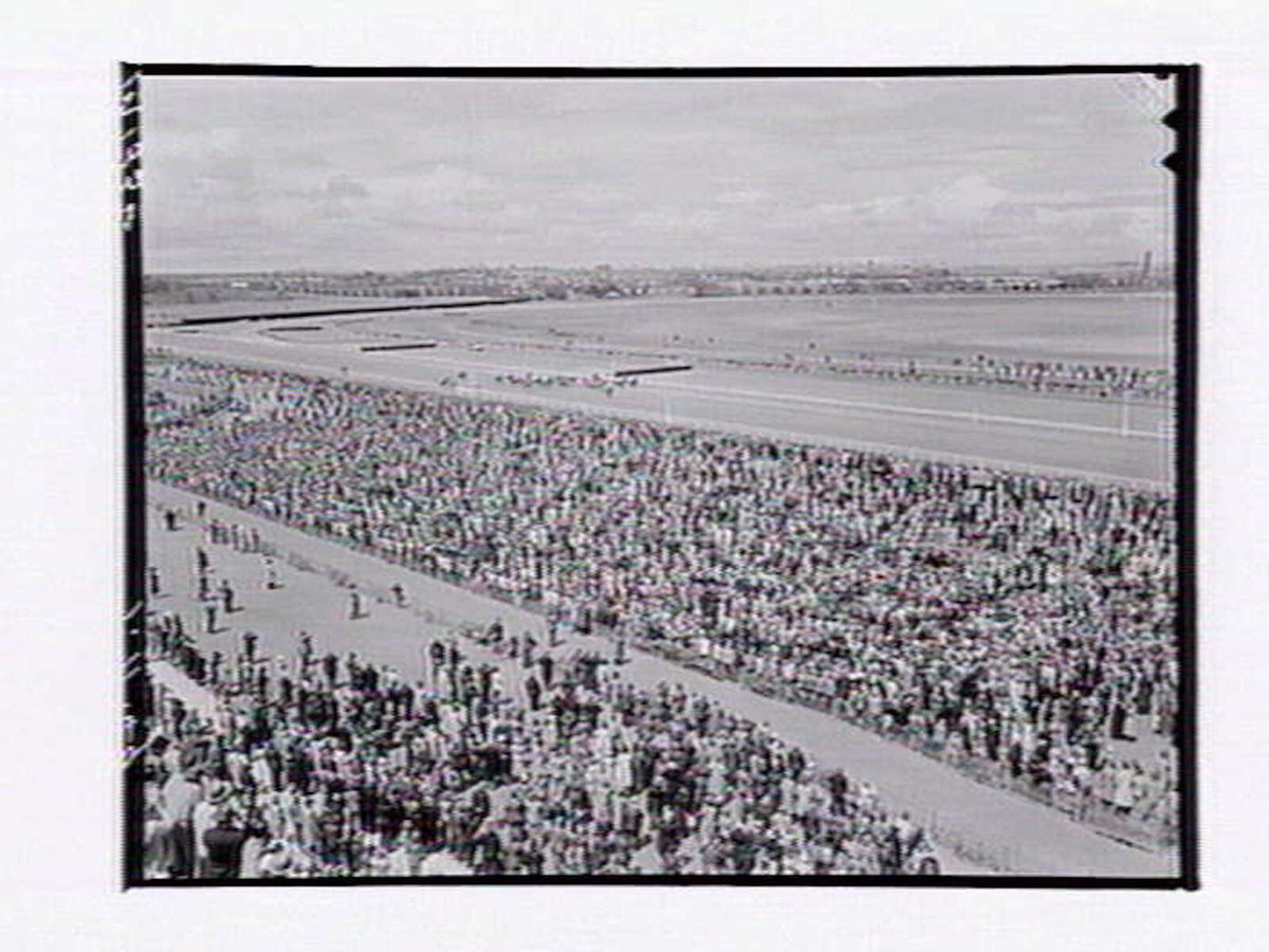 Bird's-eye view of horserace at Flemington Racecourse on Melbourne Cup Day (1949)