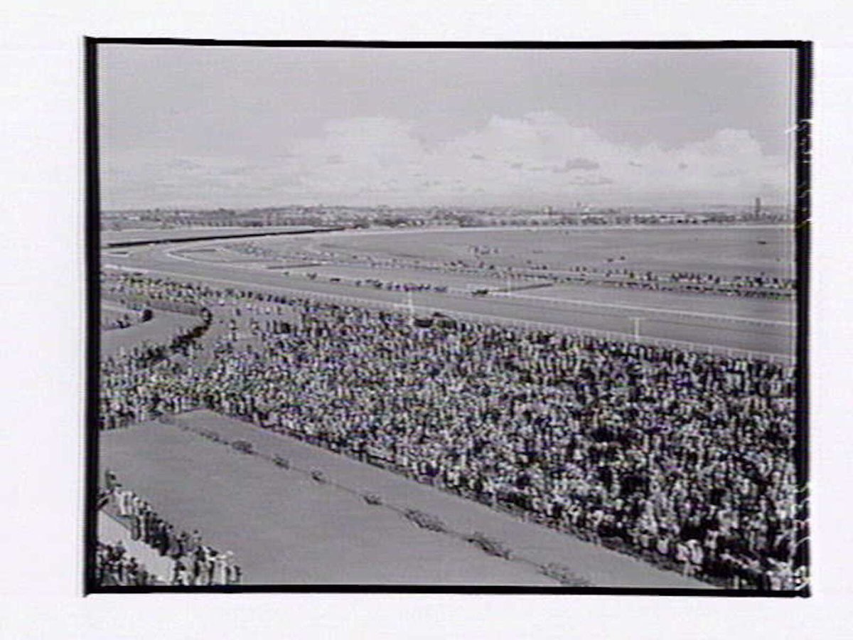 Bird's-eye view of horserace at Flemington Racecourse on Melbourne Cup Day (1949)