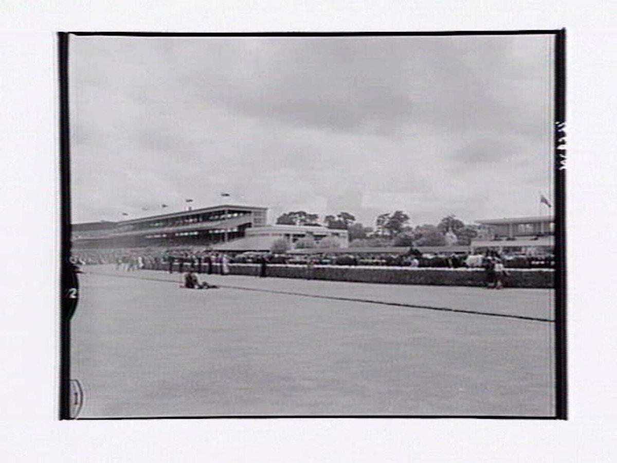 Horses being led onto racetrack, Flemington Racecourse (1943–49)