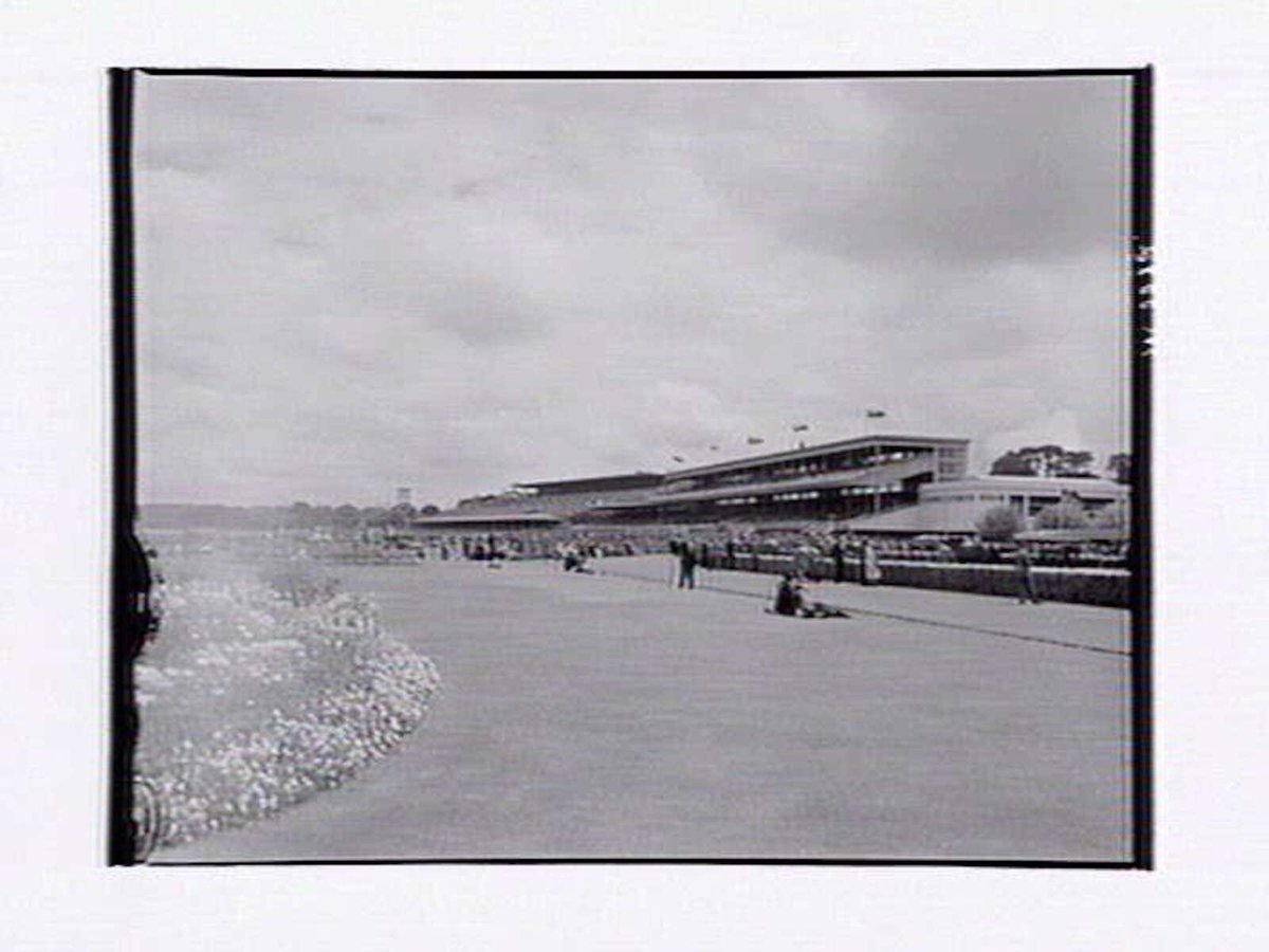 Horses being led onto racetrack, Flemington Racecourse (1943–49)