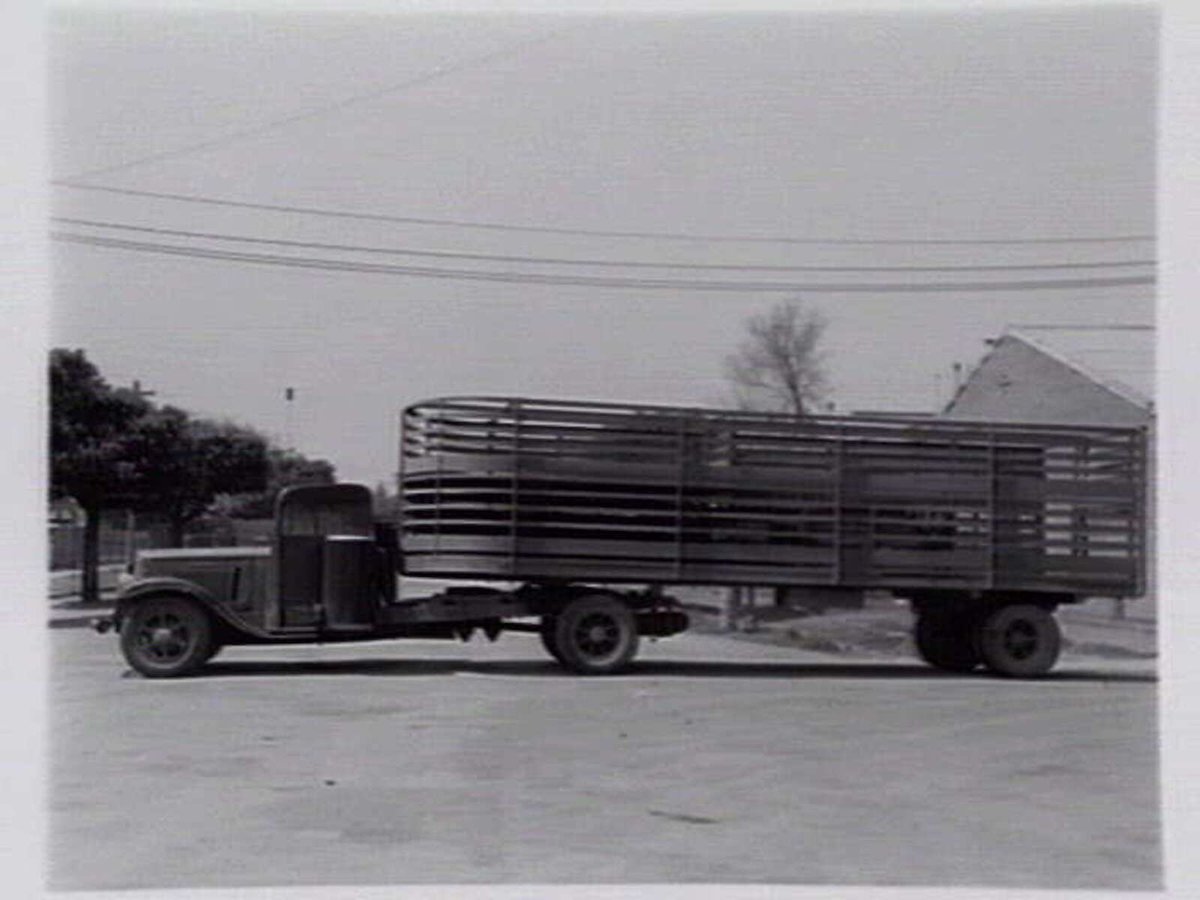 Cattle truck and Melbourne Butter supply and Egg truck fitted with Jackson gas producer units (c. 1940)
