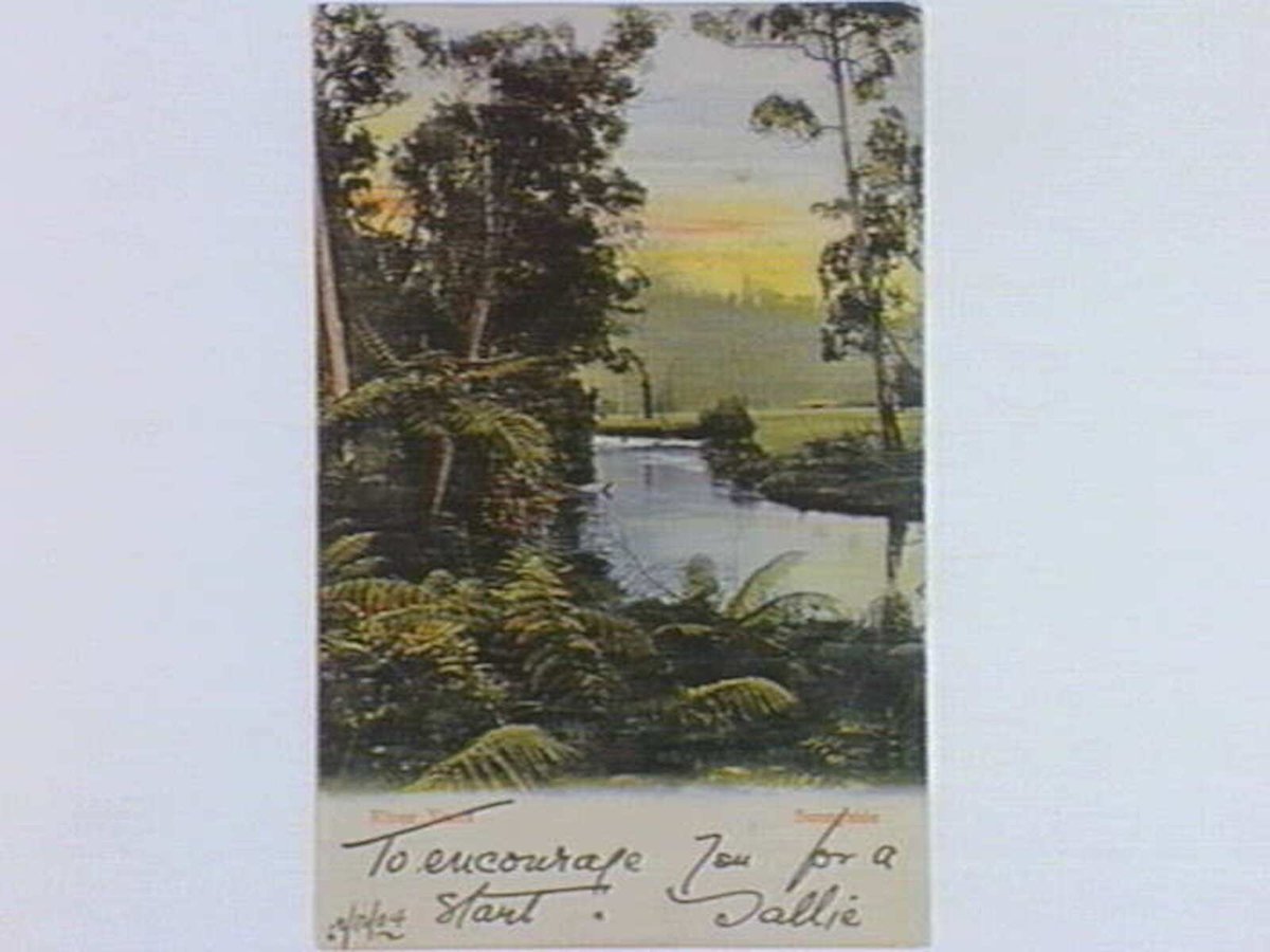 River Yarra Sunnyside, Yarra River (c. 1904)