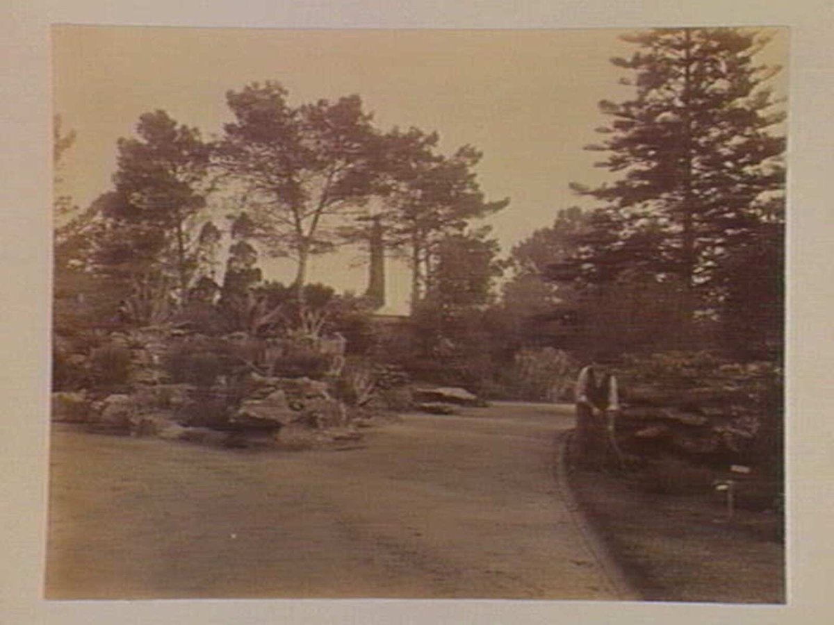View along pathway with gardener tending garden bed, Botanical Gardens, Melbourne, Melbourne City (c. 1890)
