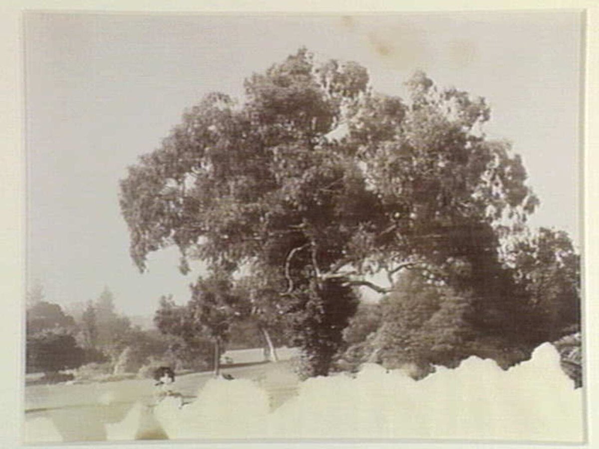 Two women on seat in gardens, Melbourne (1876–94)