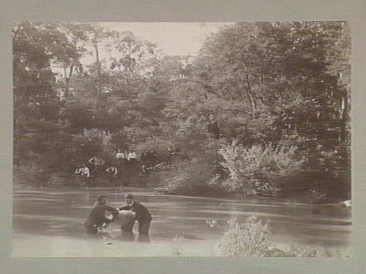 Cheltenham Cycle Club outing 1897, Greensborough?: Meraug (c. 1897)