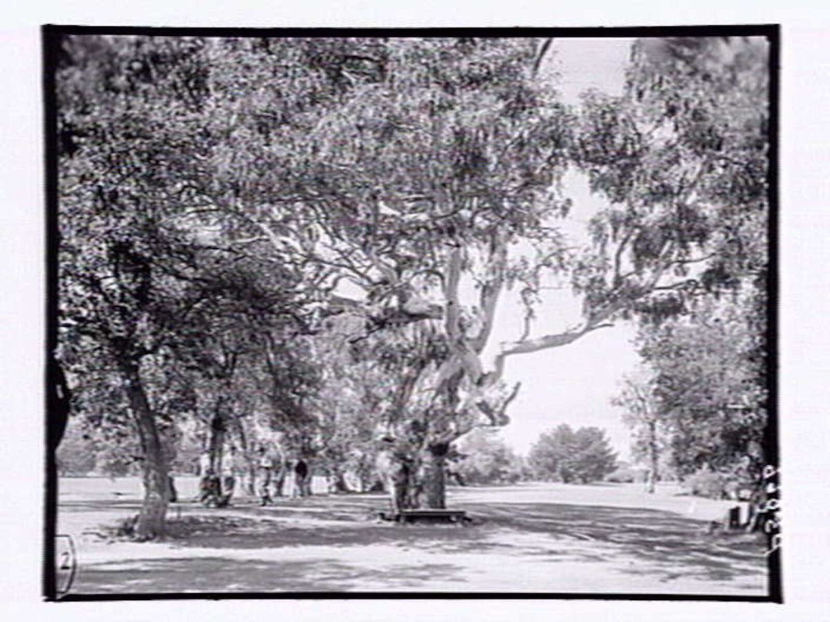 Rossdale Golf Links, Aspendale (1952)