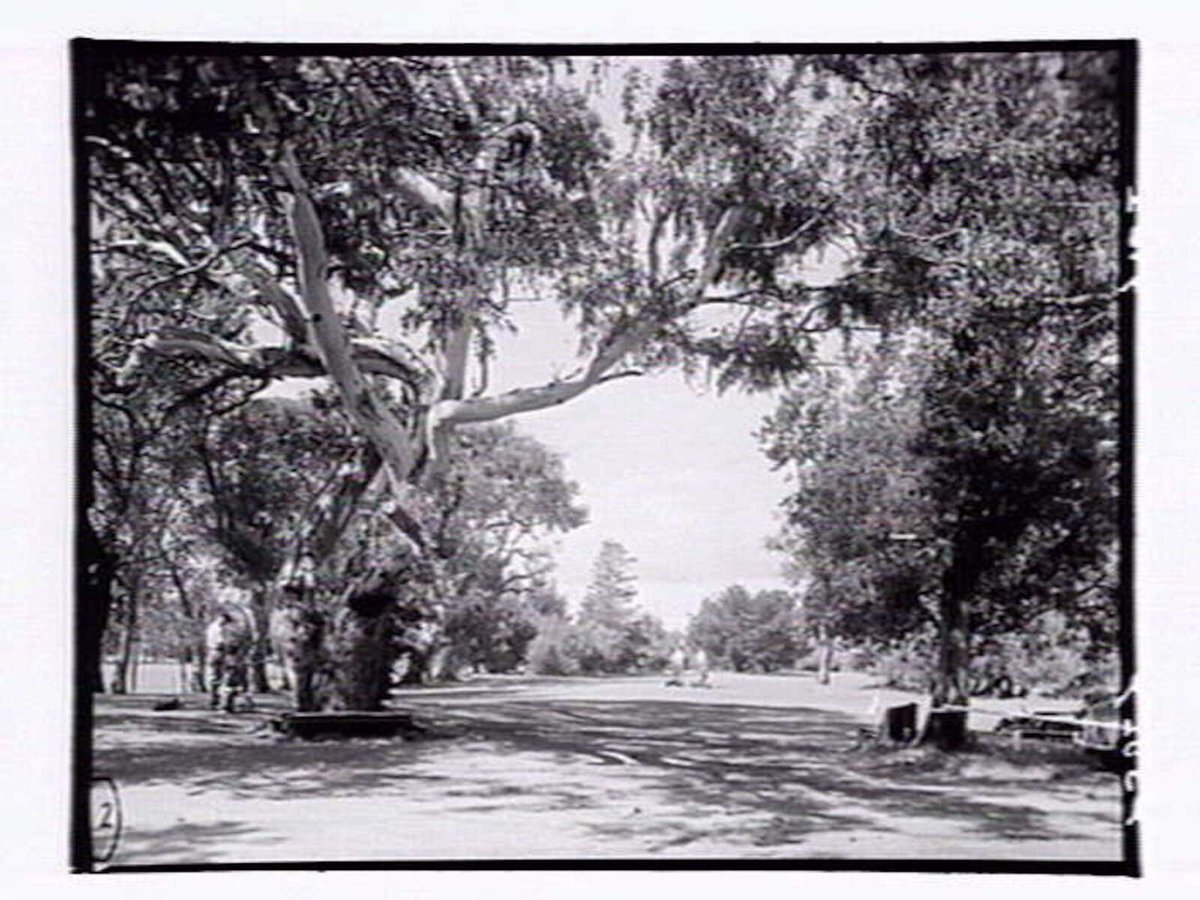 Rossdale Golf Links, Aspendale (1952)