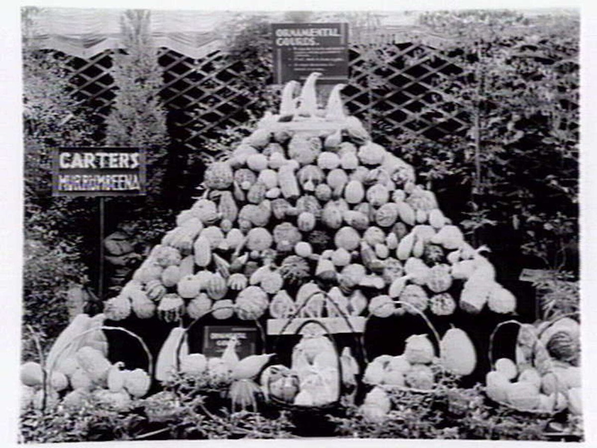 W.C. Carter of Murrumbeena displays for Garden Week 1941