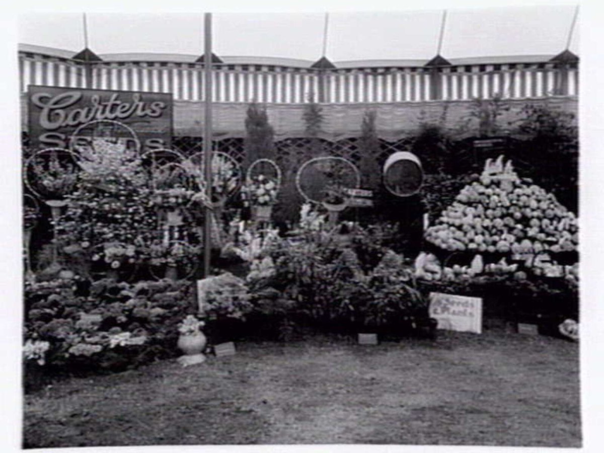 W.C. Carter of Murrumbeena displays for Garden Week 1941