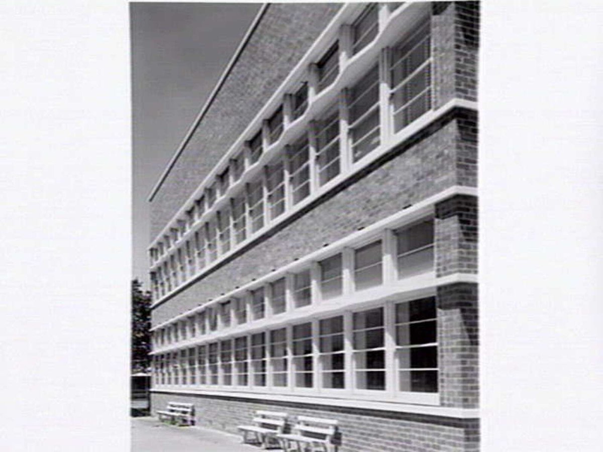Williamstown High School (1949)
