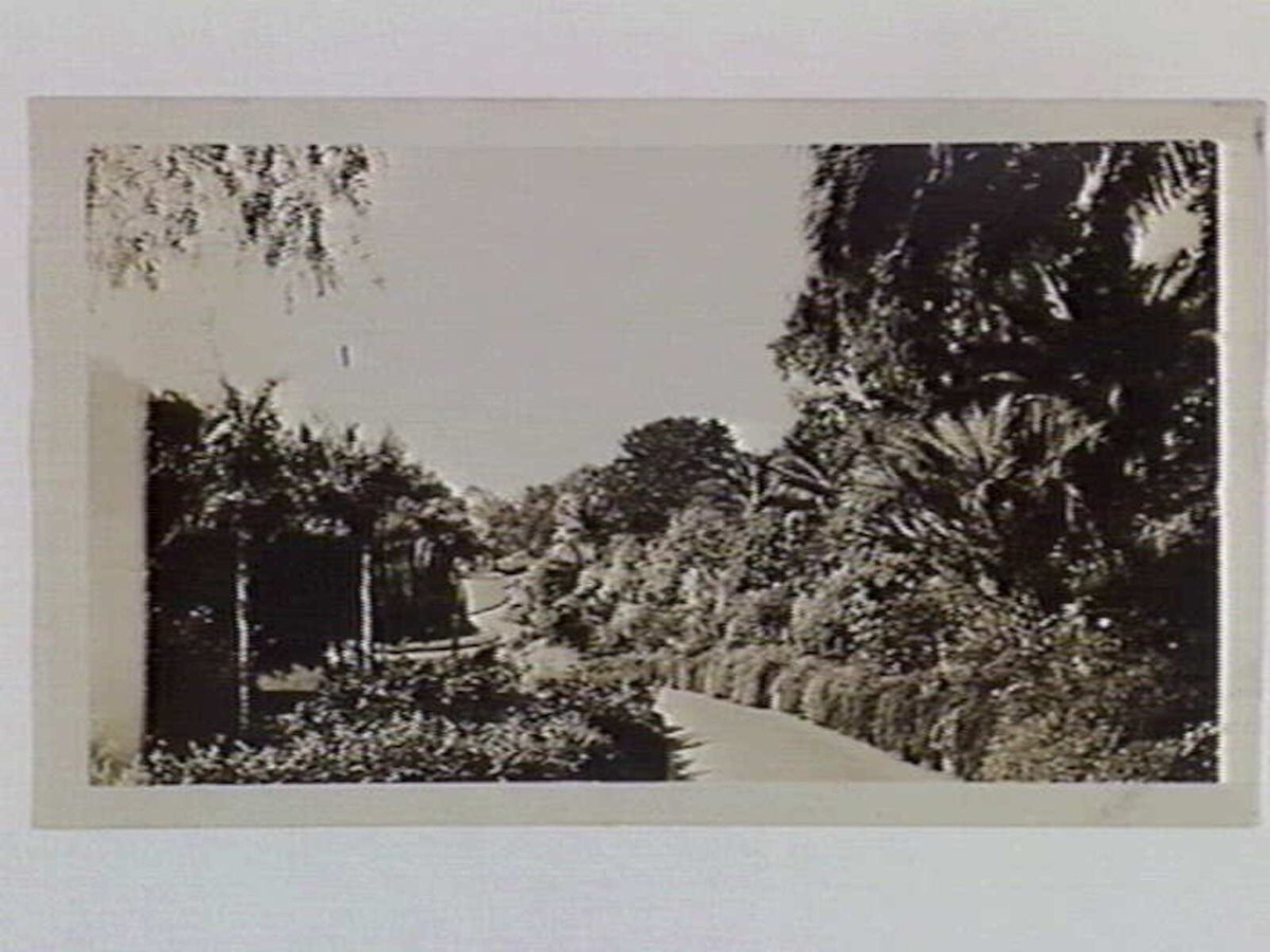 Entrance to the Alexandra Gardens, Melbourne, Melbourne City (1932)