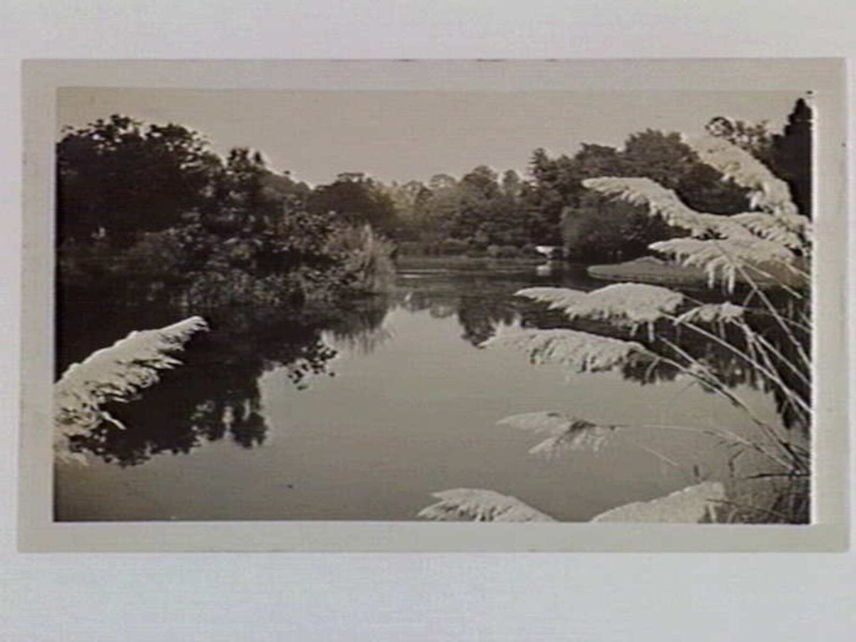View across the lake at the Royal Botanic Gardens, Melbourne, Melbourne City (1932)